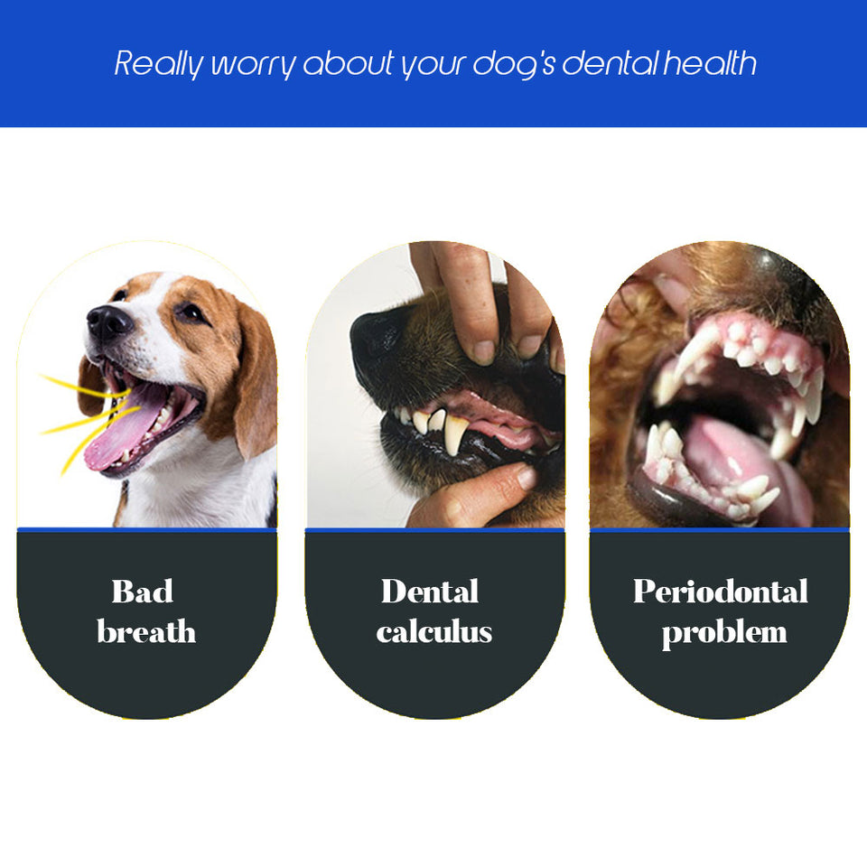 Escova de dente para Cães