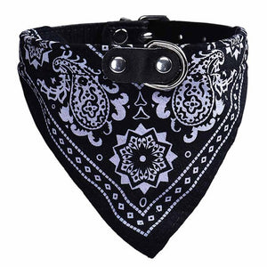 Coleira ajustável modelo bandana